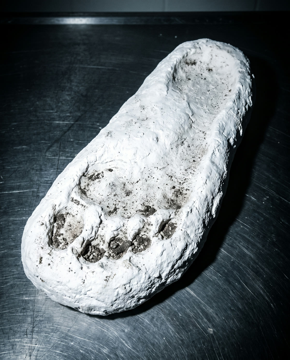 Plaster cast of a very large humanoid footprint, evidence flash photo.